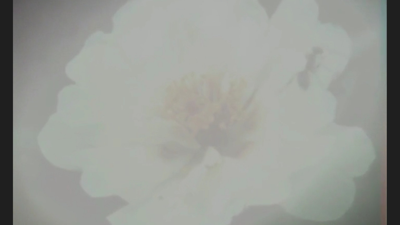 Hora do Cálculo (Calculation Time) backdrop