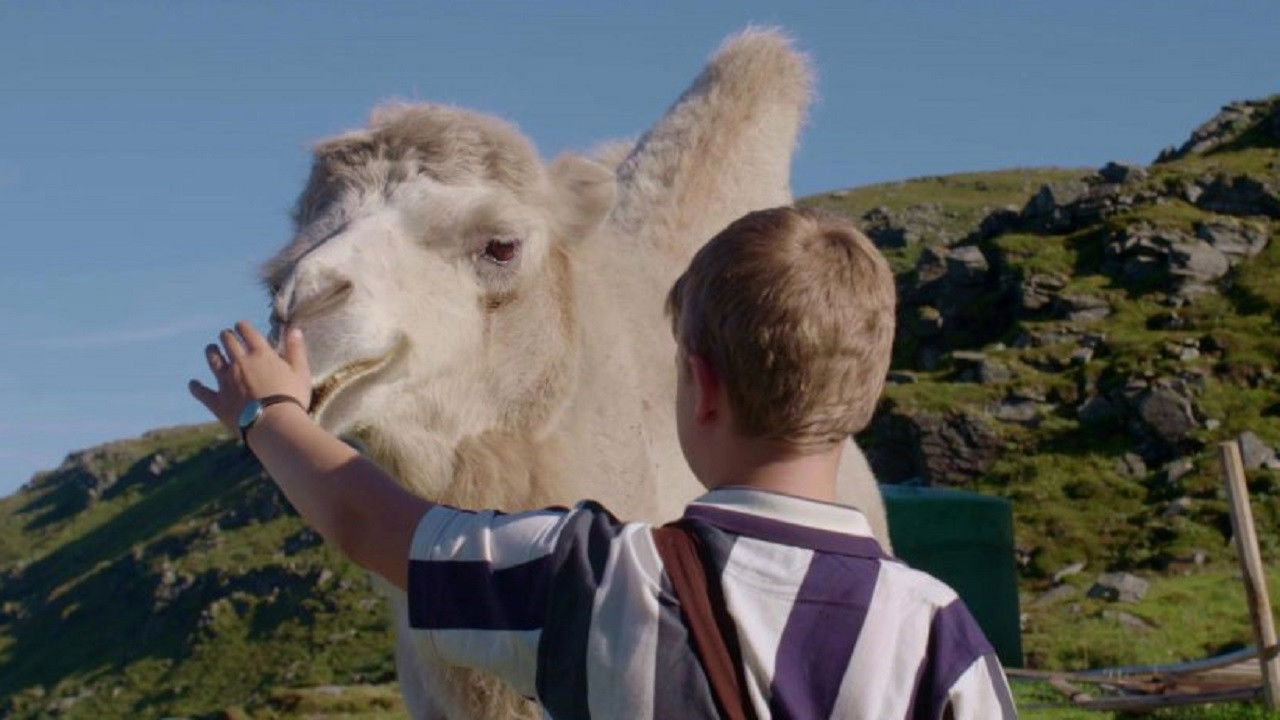 The Arctic Camels backdrop
