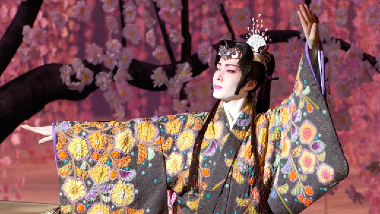 Cherry Blossoms / Secret Hunter -There's Nothing in This World I Can't Steal- backdrop