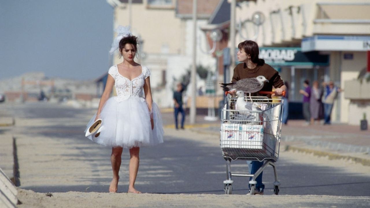 Thank You, Life backdrop