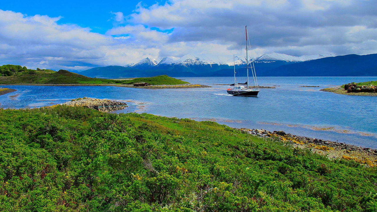 Une fleur dans le Pacifique backdrop
