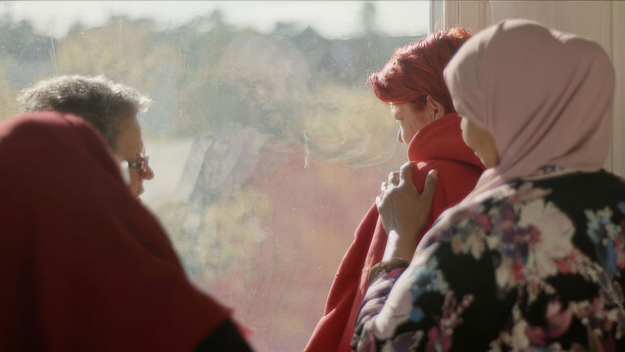 fifteen zero three nineteenth of january two thousand sixteen backdrop