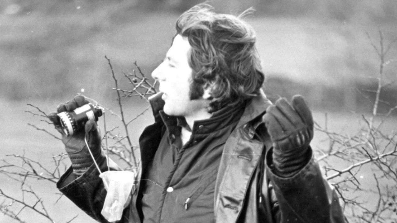 Roman by Polanski backdrop