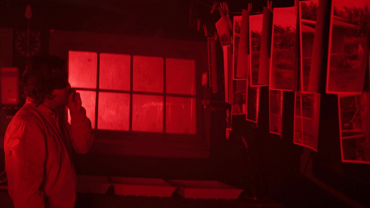 Tom Hornets backdrop