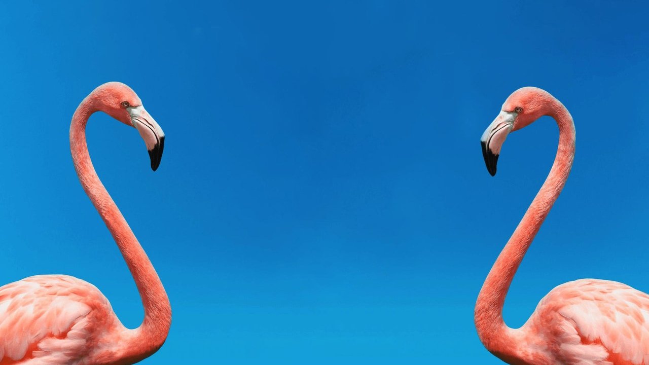 The Mating Game backdrop