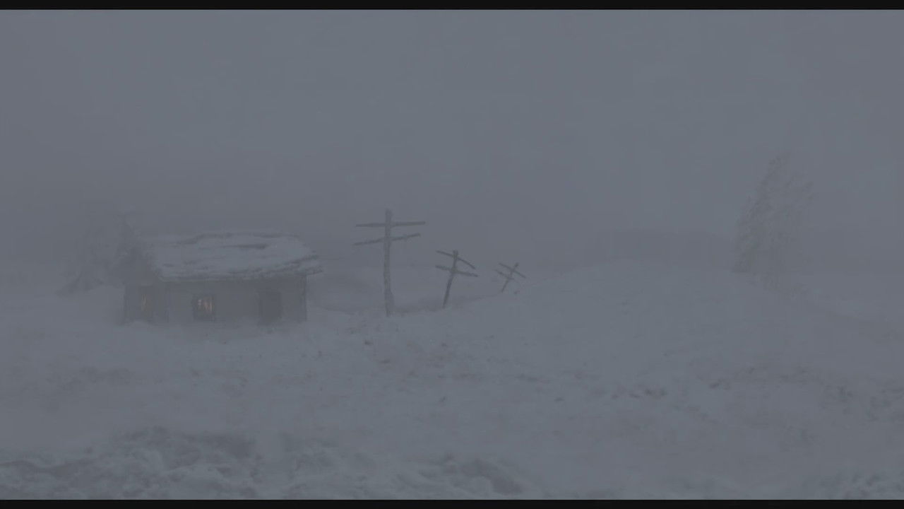 Café Limbo backdrop