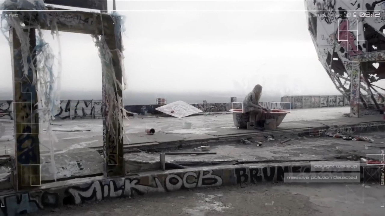 Don't Mess with the Sharkies backdrop