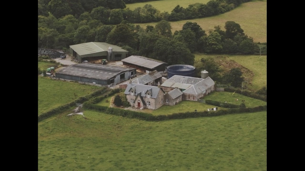 Nature Nurture backdrop