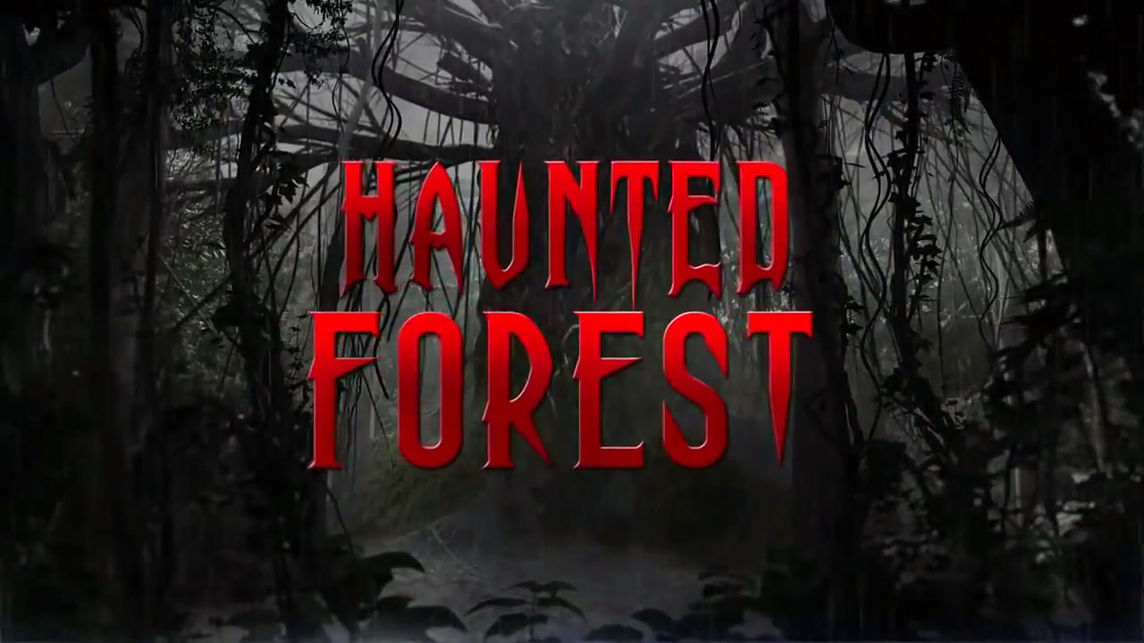 Haunted Forest backdrop