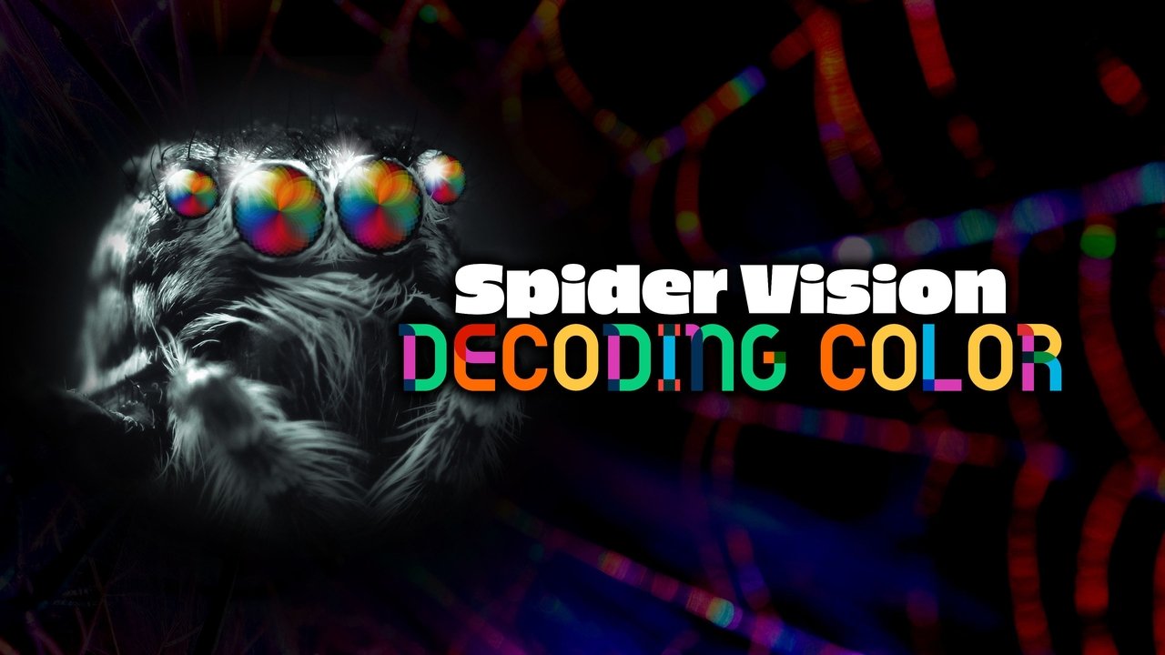 Spider Vision: Decoding Color backdrop