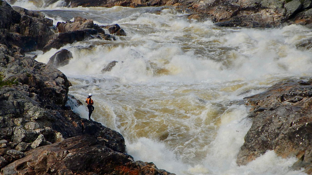 Je suis Magpie backdrop