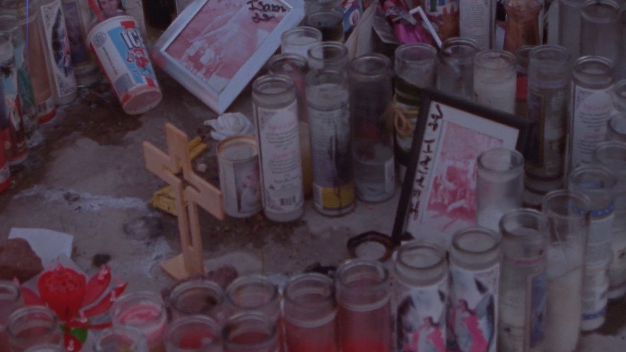 You are not far, for you are everywhere backdrop