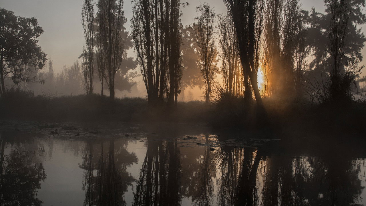 Island of the Dolls backdrop