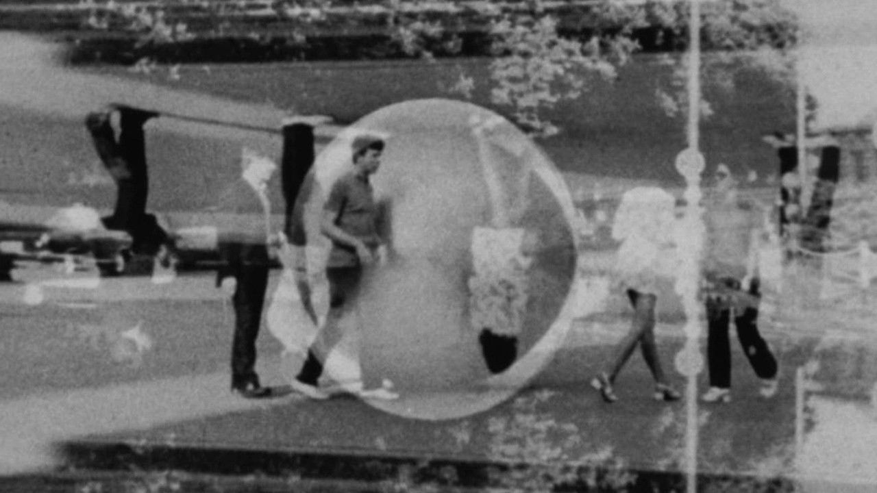 Sfaira 1985 -1895 backdrop