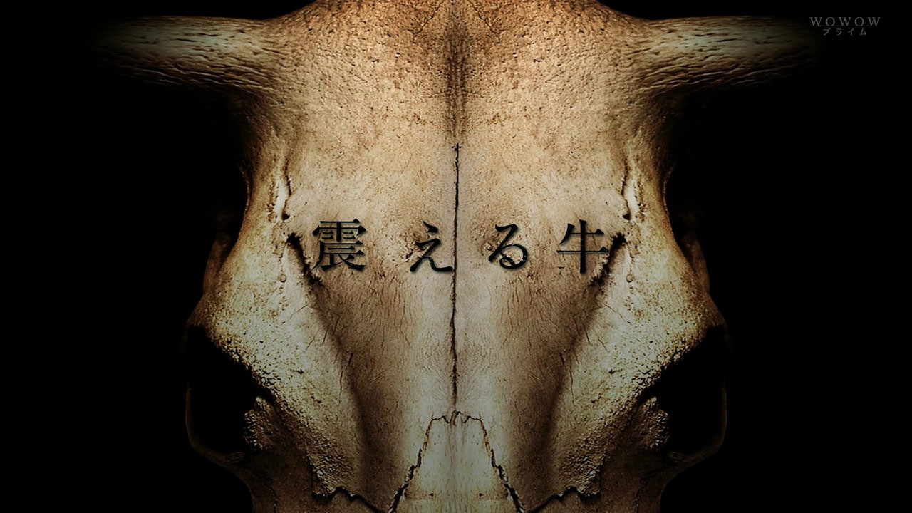 Trembling Cow backdrop