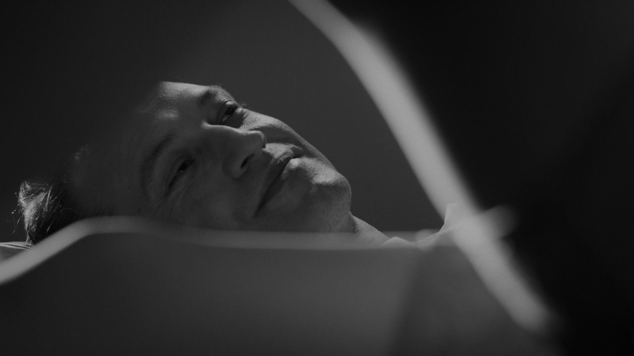 Women Without Men backdrop