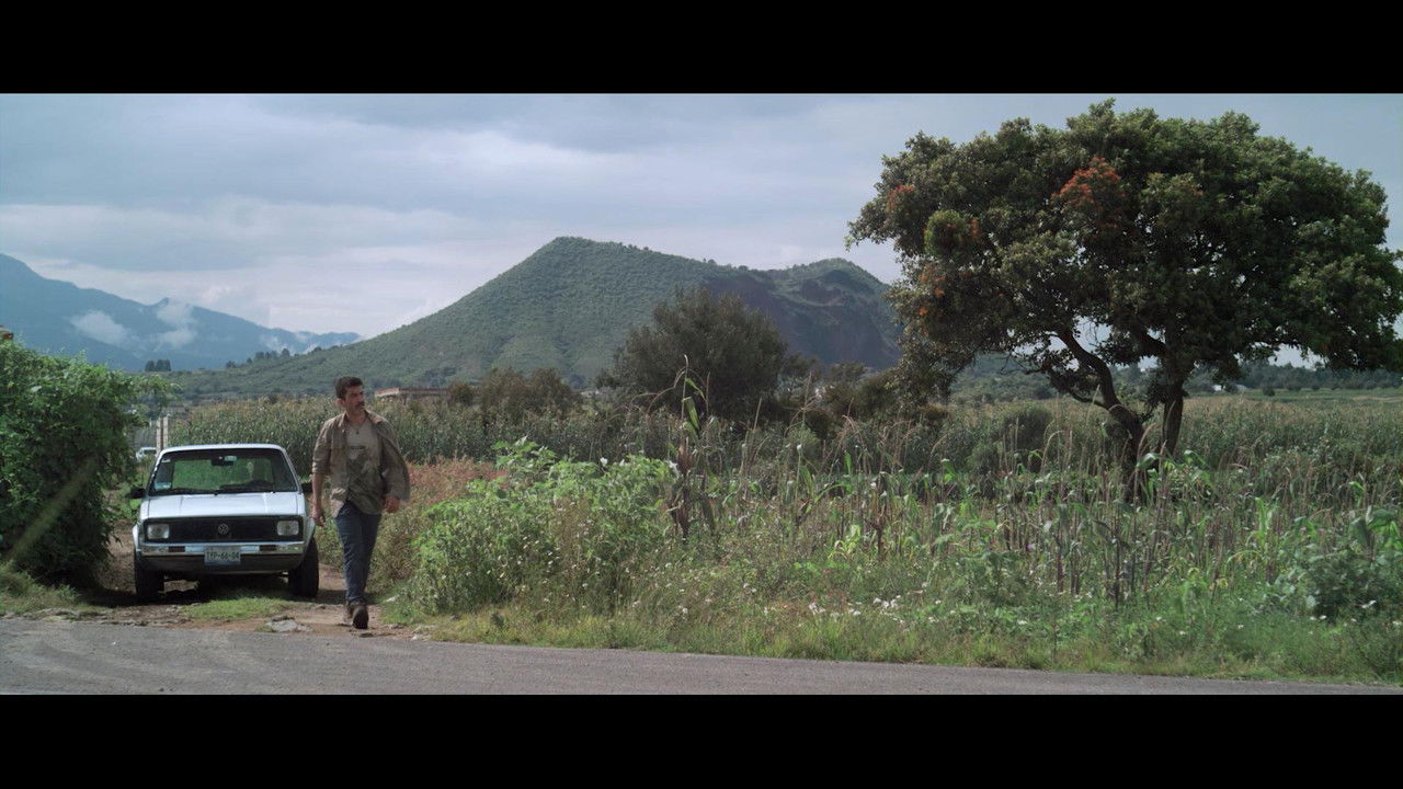 The Opposite Of Death backdrop