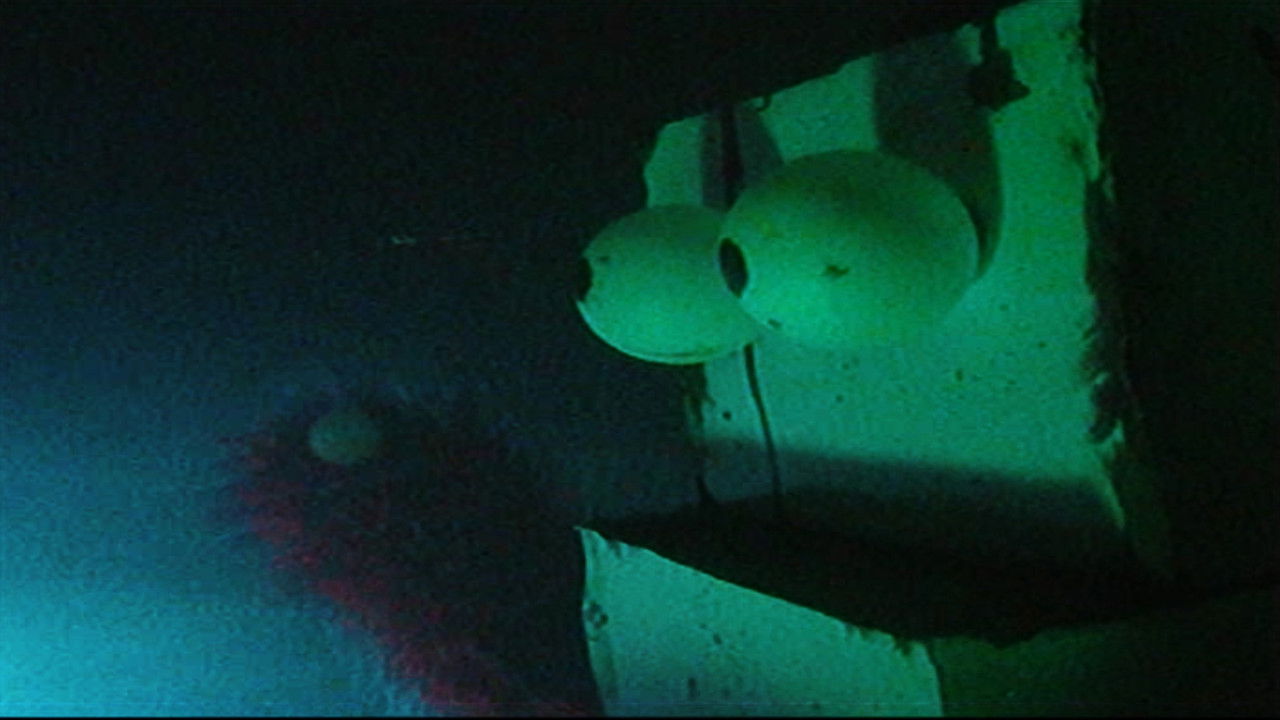 Public Access Limited backdrop