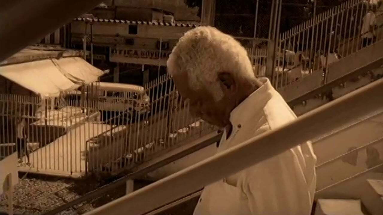 Geraldo José - O Som Sem Barreira backdrop