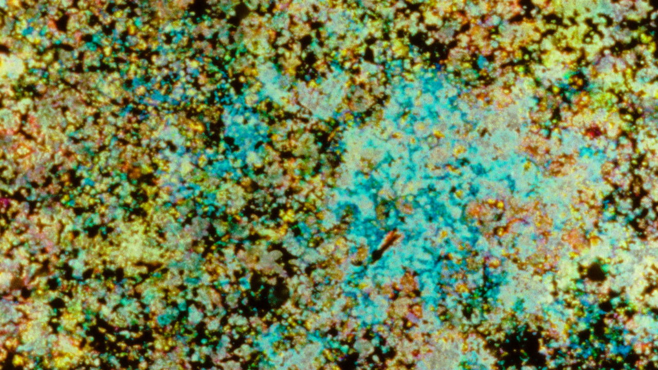 Landfill 16 backdrop