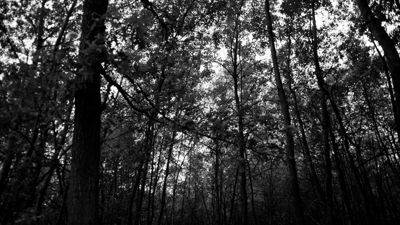 Christiaan Hesen backdrop