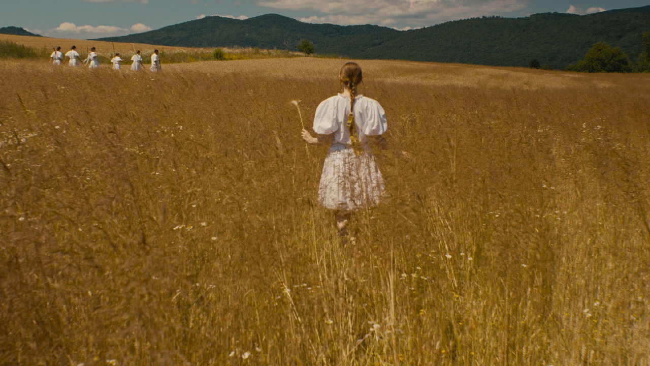 The Harvest backdrop