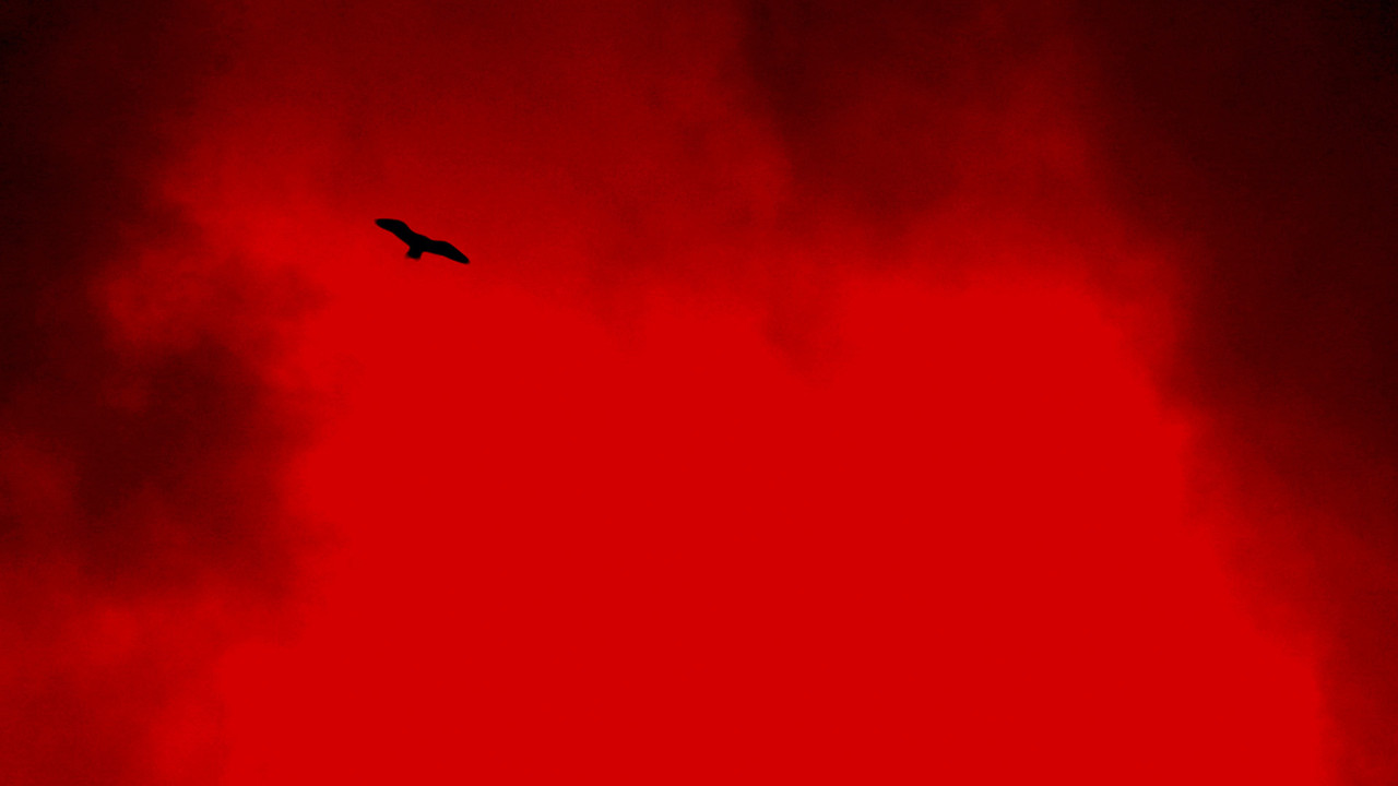 The White Death of the Black Wizard backdrop