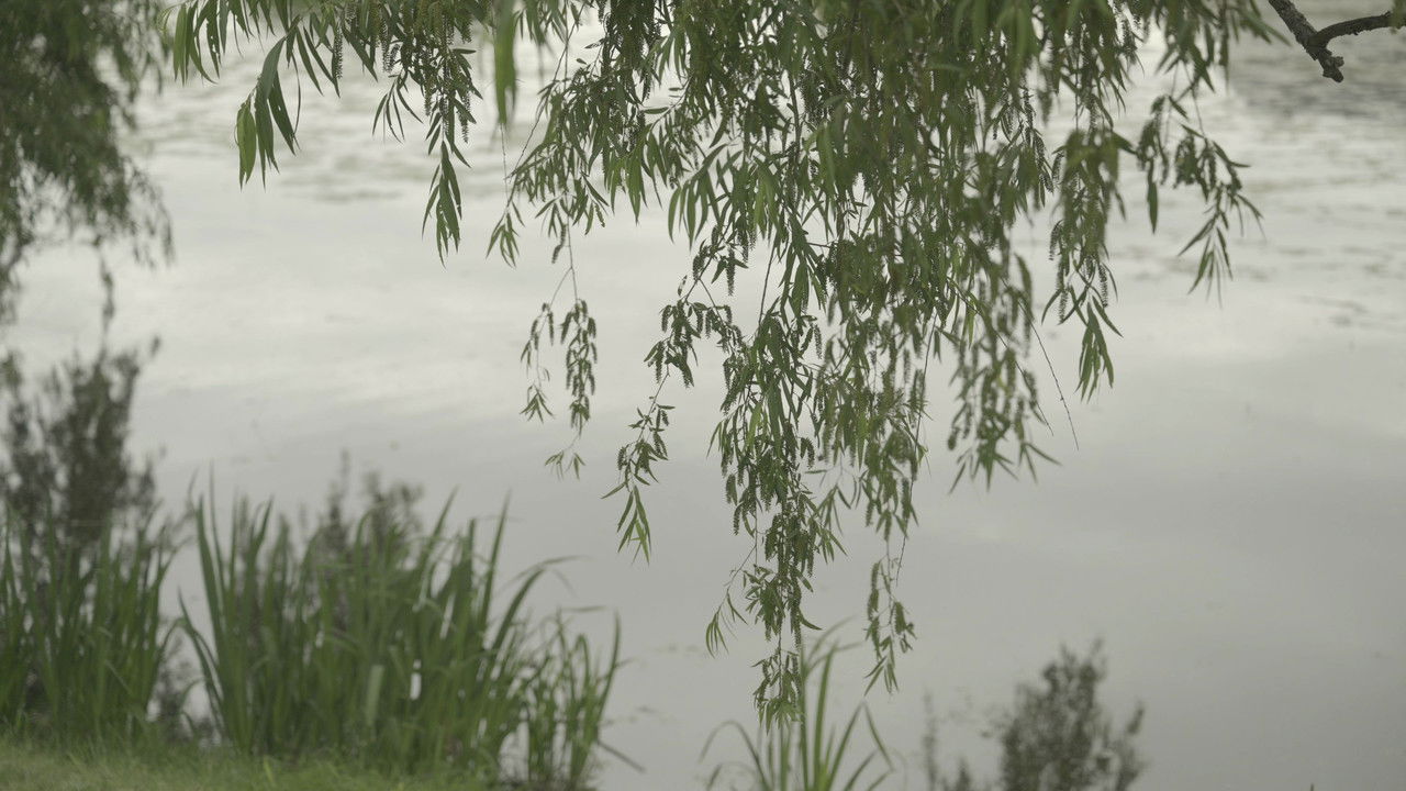 Eternal Return backdrop