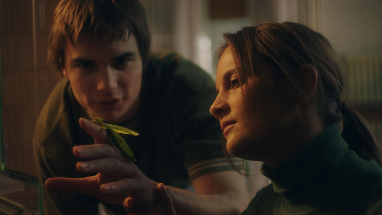 Seeing What You See backdrop