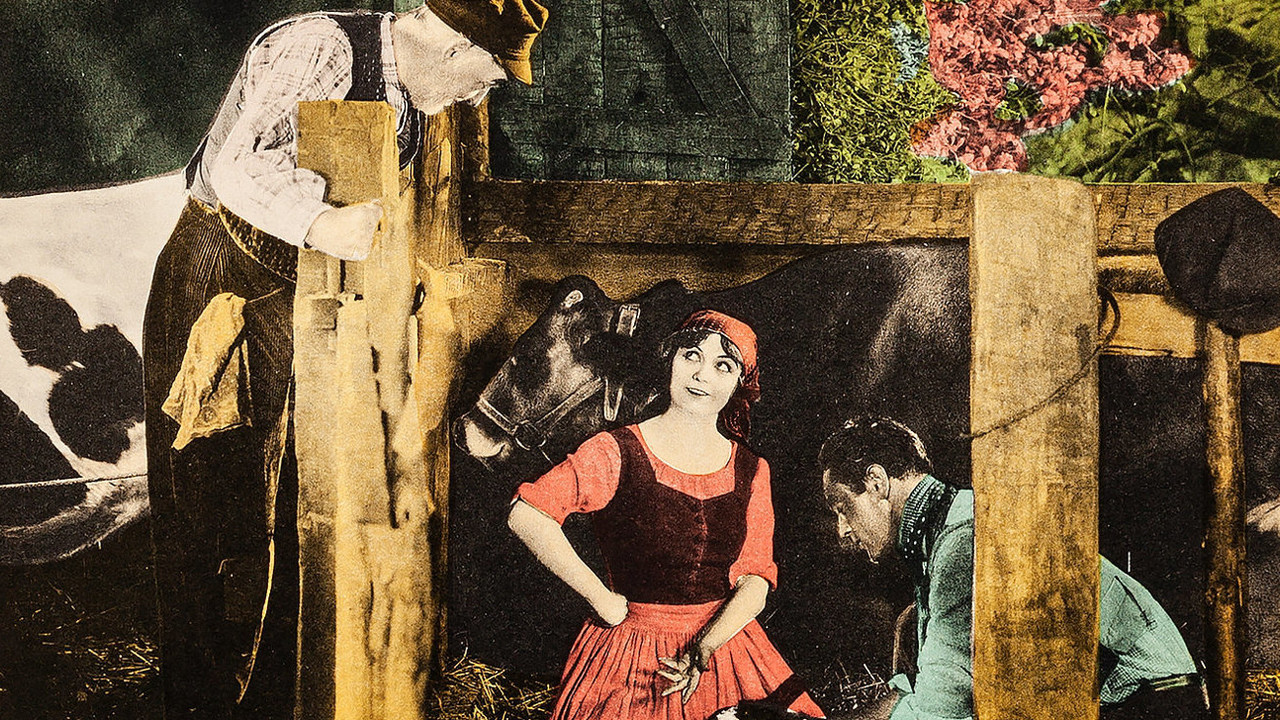 Barbed Wire backdrop