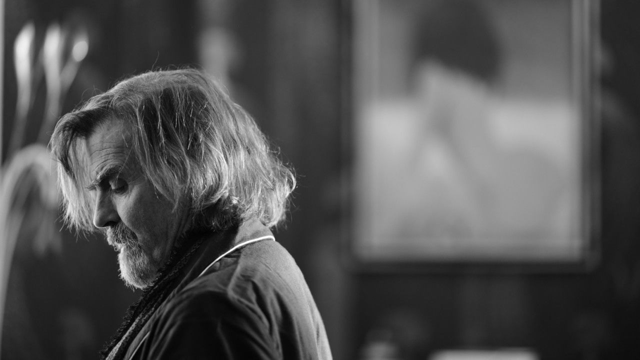 A Bird Flew In backdrop