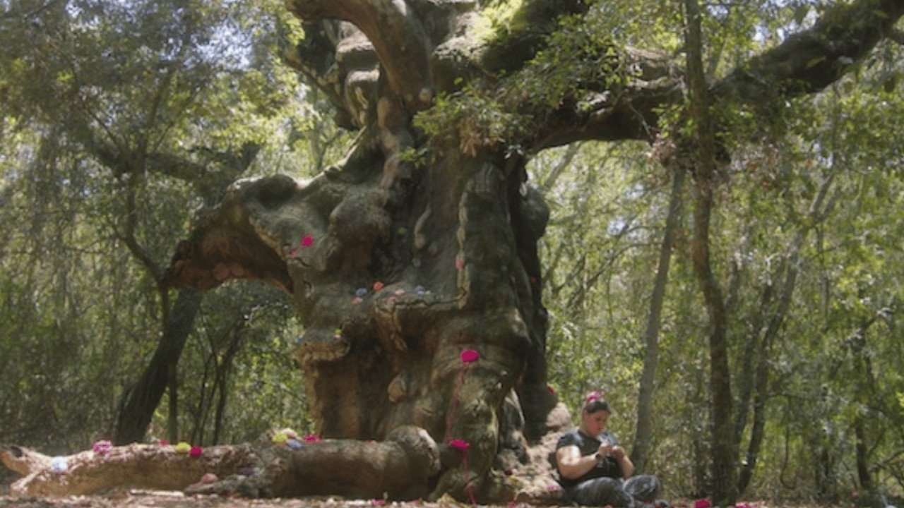 Valentina and the MUOSters backdrop