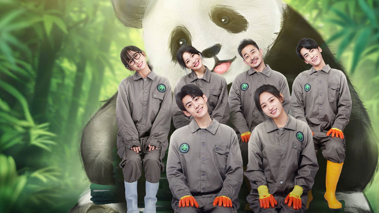 Panda & You Rolling In backdrop