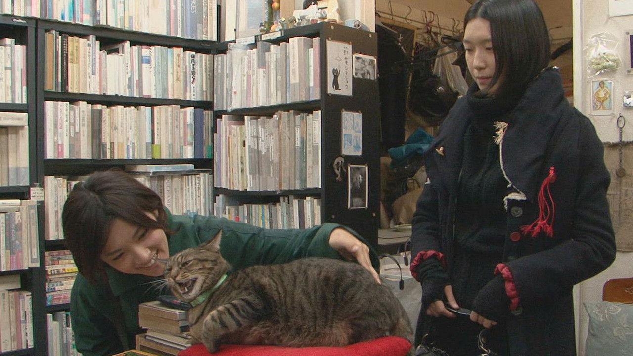 I’m a Cat Stalker backdrop