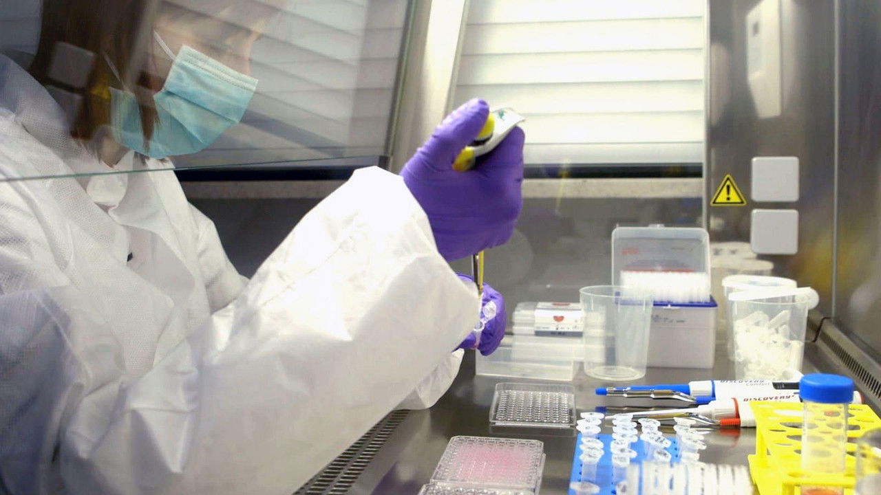 The Proteom Code backdrop