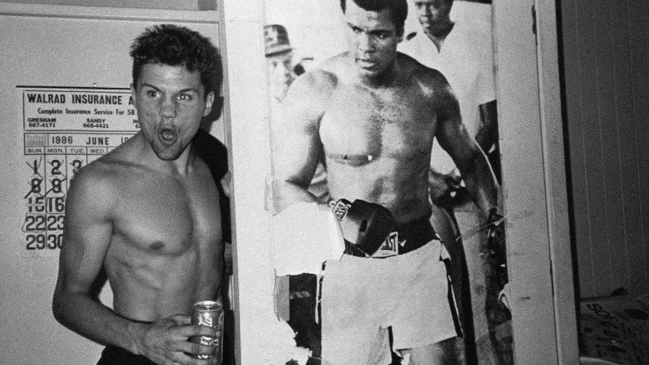 Broken Noses backdrop