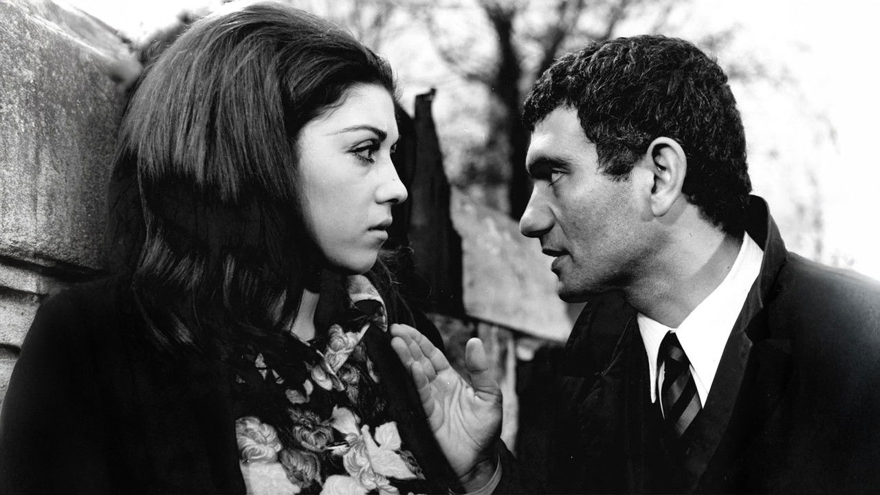 Balatlı Arif backdrop