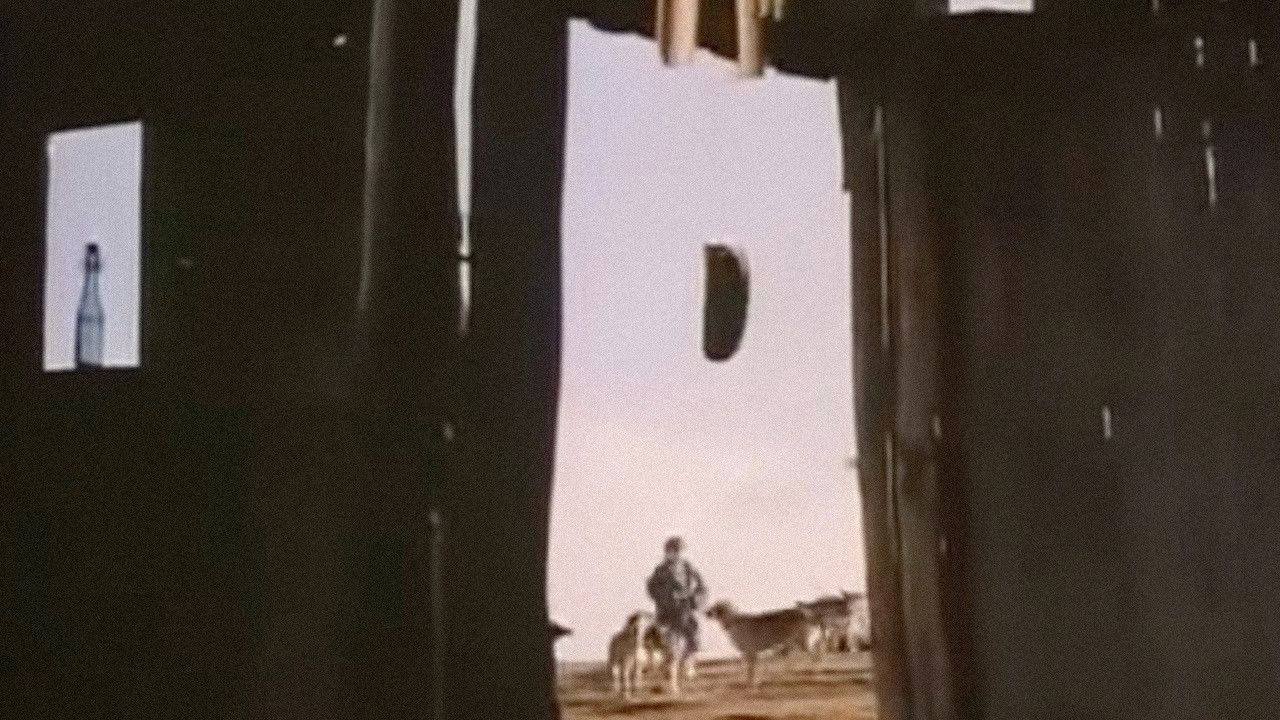 A Talk with Birds backdrop