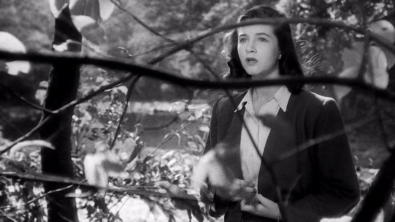 Presentiment backdrop