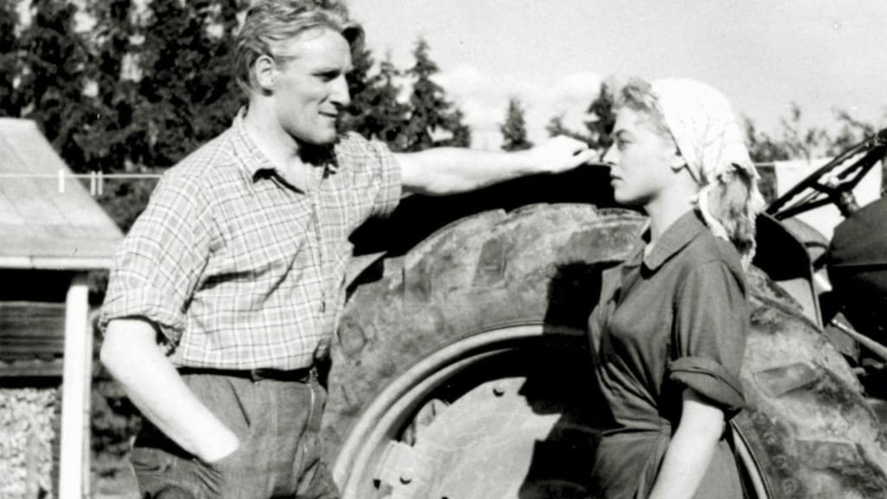 Kukonlaulusta kukonlauluun backdrop