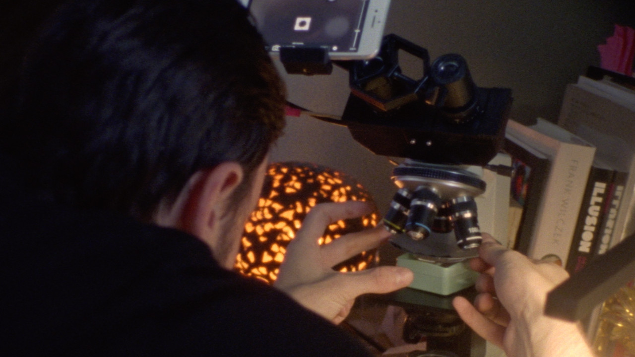 Vision of Paradise backdrop