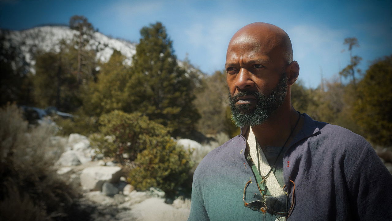 The Way of the Stranger backdrop