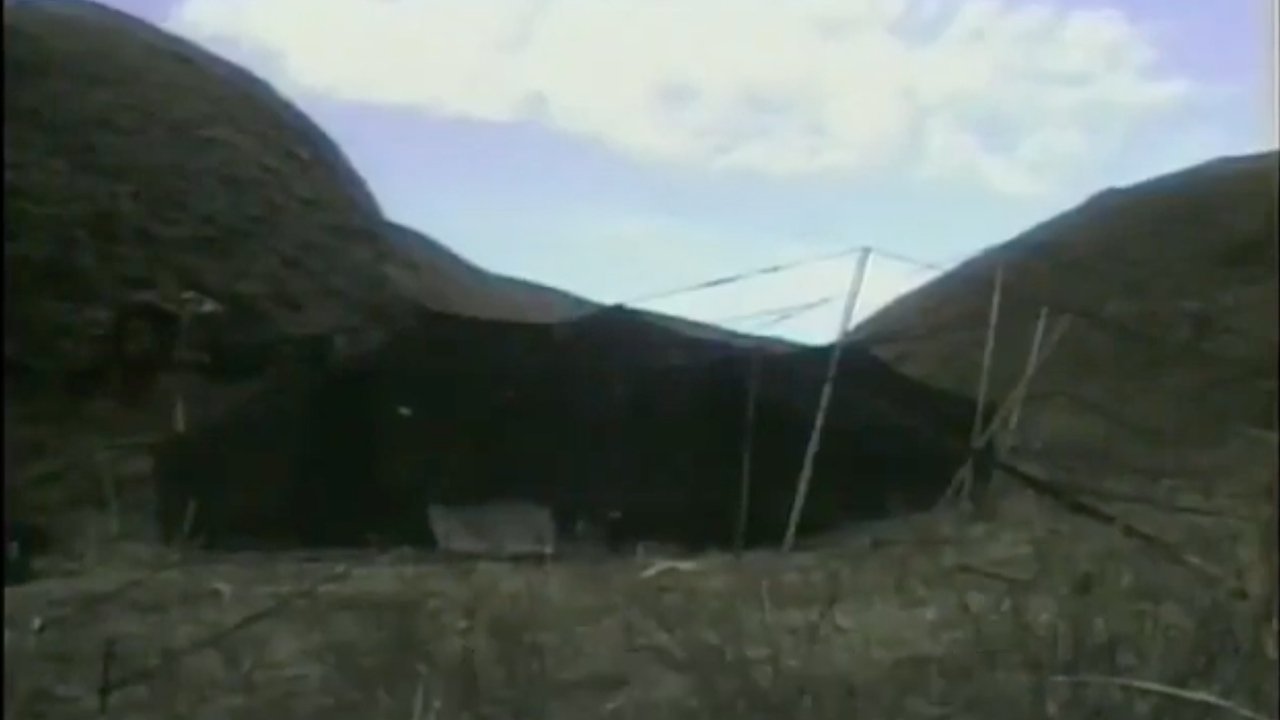 Land of Men backdrop