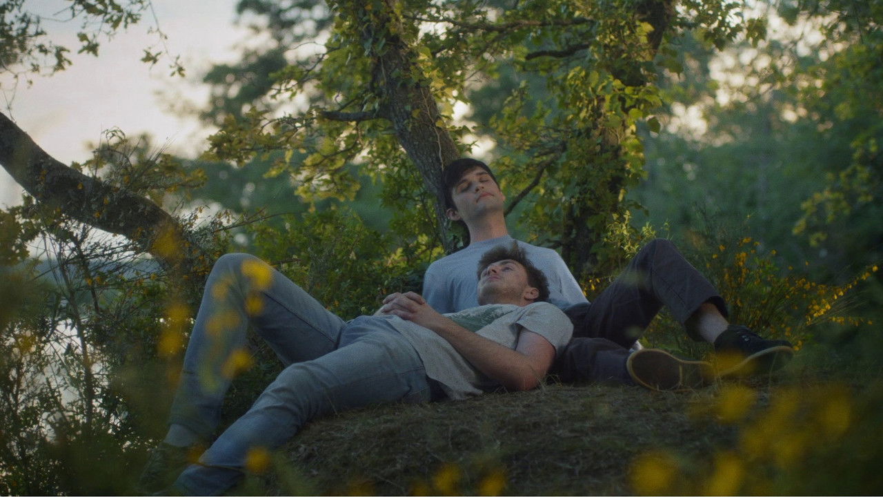 The Extravagant Illnesses backdrop