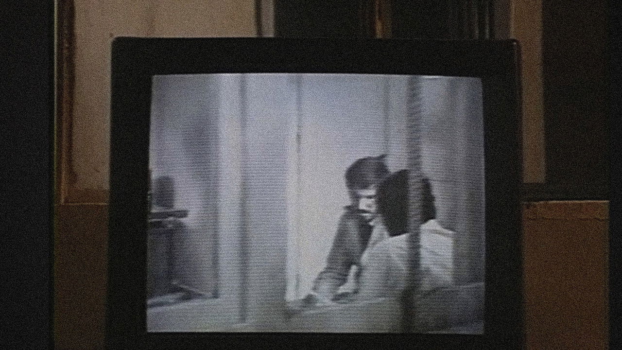 Close-Up Long Shot backdrop