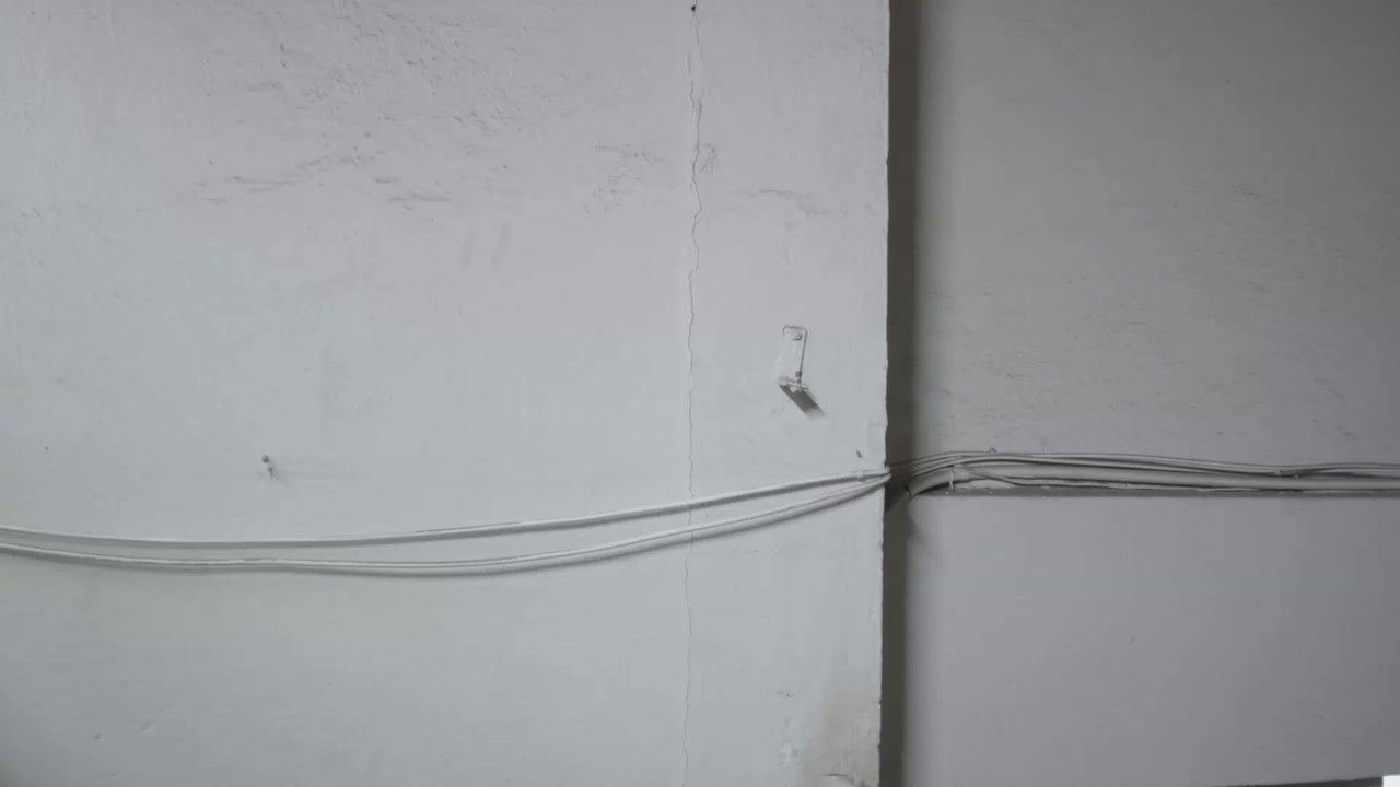 ela viu aranhas backdrop