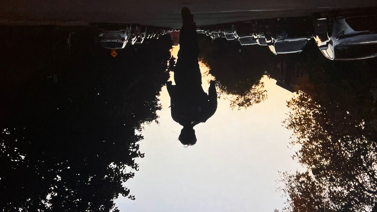 Florent's Birthday Video! backdrop