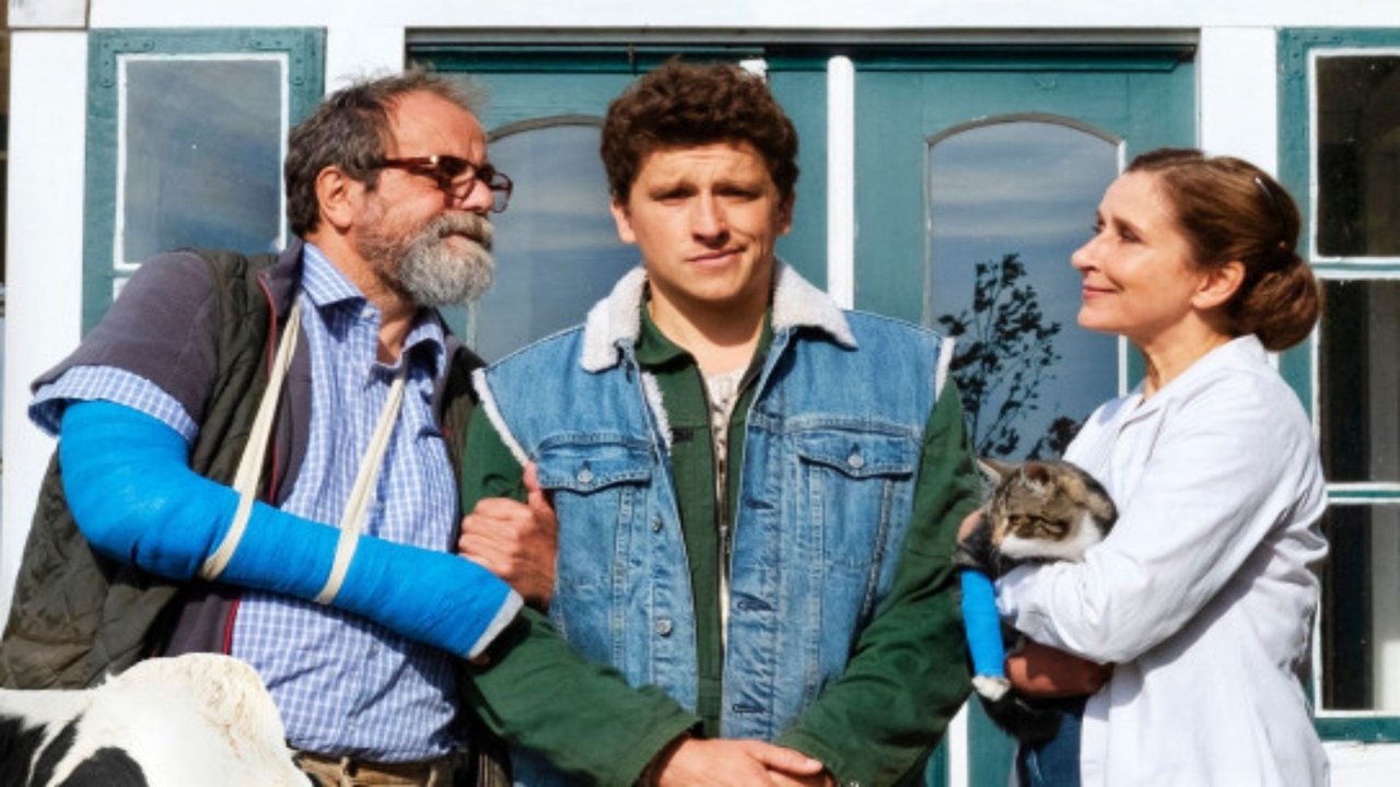 Viele Kühe und ein schwarzes Schaf backdrop