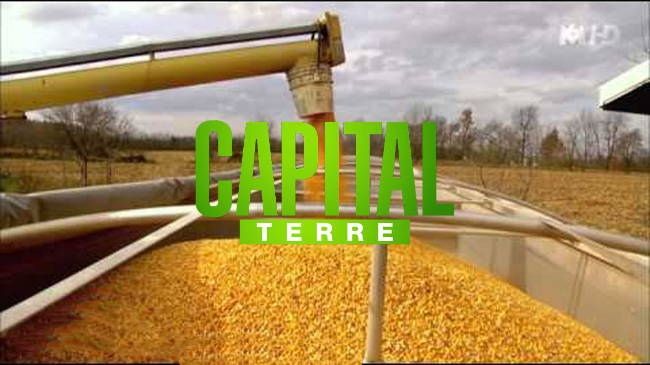 Capital Terre backdrop