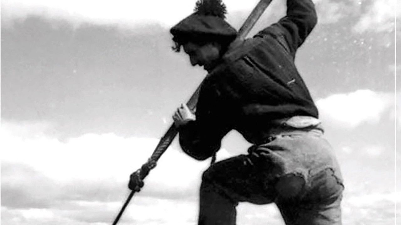 A Boatload of Wild Irishmen backdrop